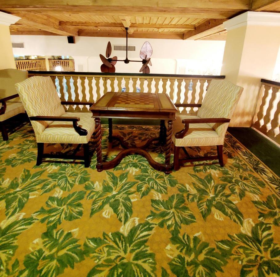 Romantic Studio In The Heart Of Palm Beach Bagian luar foto